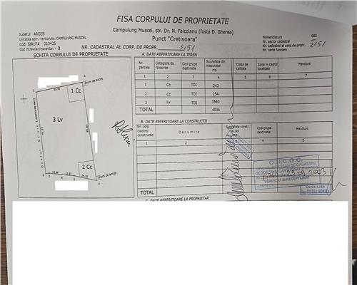 Vanzare teren intravilan Cretisora C-lung  Muscel Arges